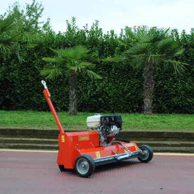 caravaggi_arieggiatori_ARIO120_1