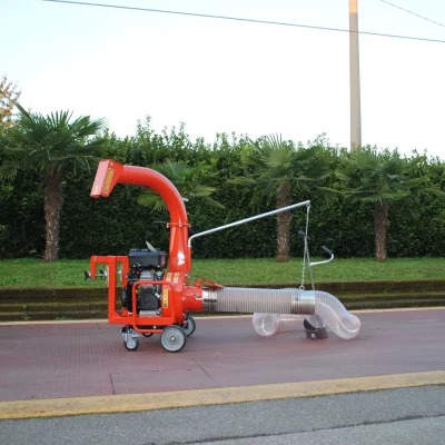 caravaggi_aspirafoglie_JUMBO_1