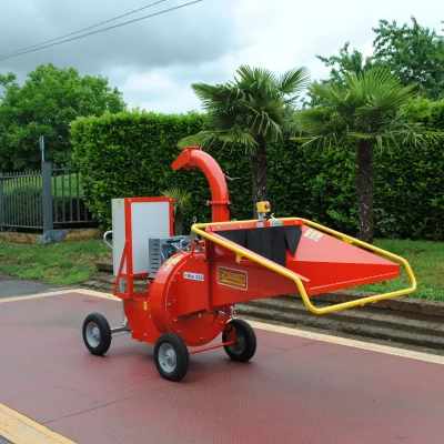 caravaggi_cippatoriprofessionali-2-1