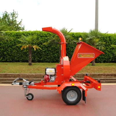 caravaggi_cippatoriprofessionali