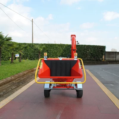 caravaggi_cippatoriprofessionali_BIO235_6 - Copia