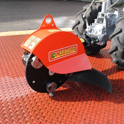 caravaggi_fresaceppiaspinta_FRCPMTC_1