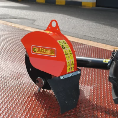 caravaggi_fresaceppiaspinta_FRCPMTC_2