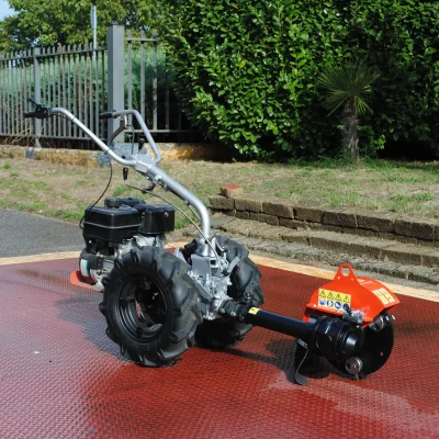 caravaggi_fresaceppiaspinta_FRCPMTC_3