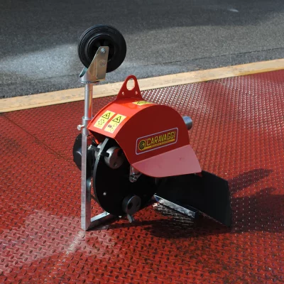 caravaggi_fresaceppiaspinta_FRCPMTC_5