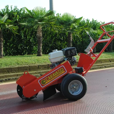 caravaggi_fresaceppiaspinta_FRCPPP_1