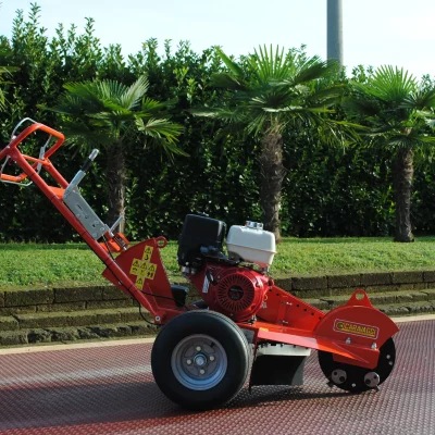 caravaggi_fresaceppiaspinta_FRCPPP_4