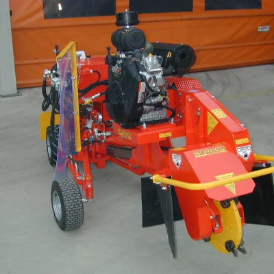 caravaggi_fresaceppisemoventi_FRCPHD_3