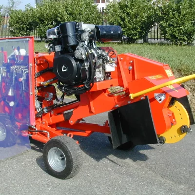 caravaggi_fresaceppisemoventi_FRCPHD_5