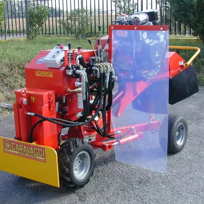 caravaggi_fresaceppisemoventi_FRCPHD_6