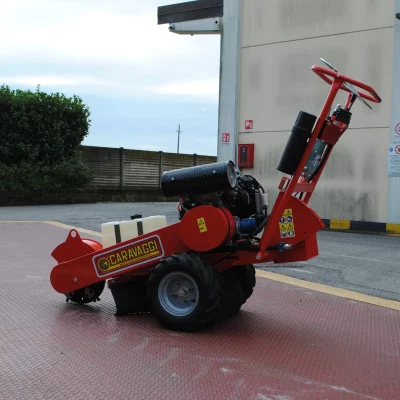 caravaggi_fresaceppisemoventi_FRCPSP_1