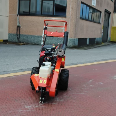 caravaggi_fresaceppisemoventi_FRCPSP_3