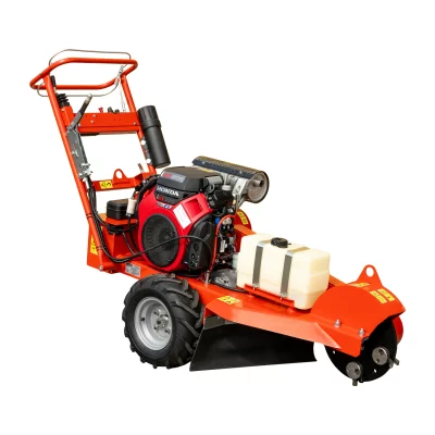 caravaggi_fresaceppisemoventi_FRCPSP_4