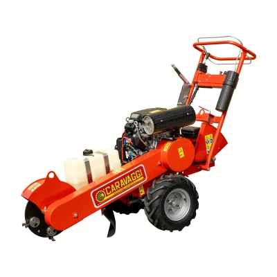 caravaggi_fresaceppisemoventi_FRCPSP_5