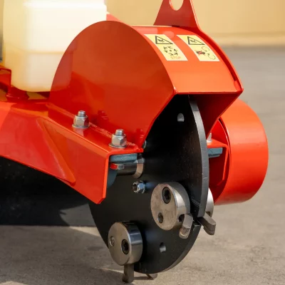 caravaggi_fresaceppisemoventi_FRCPSP_6