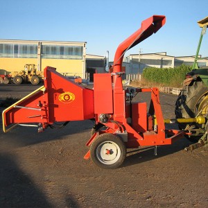Cippo-25-6