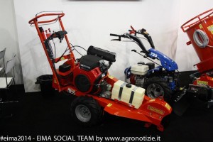 IMG_3982