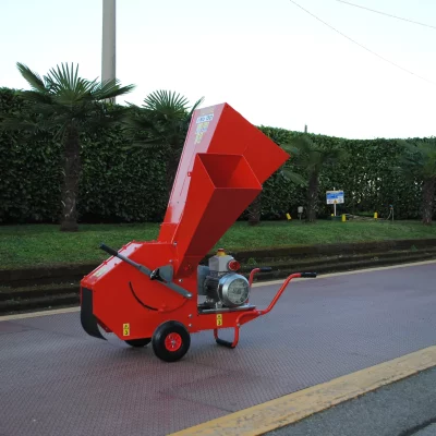 caravaggi_biotrituratoridomestic (22)