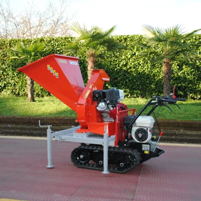 caravaggi_cippatoridomestici_BIO (13)