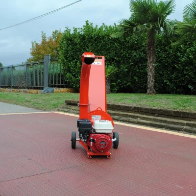 caravaggi_cippatoridomestici_TRX_2