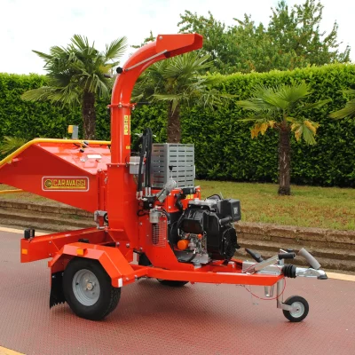 caravaggi_cippatoriprofessionali (1)