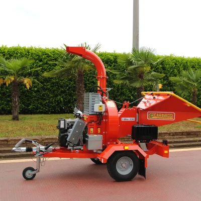 caravaggi_cippatoriprofessionali