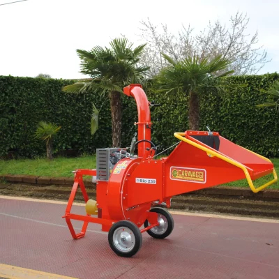 caravaggi_cippatoriprofessionali (4)