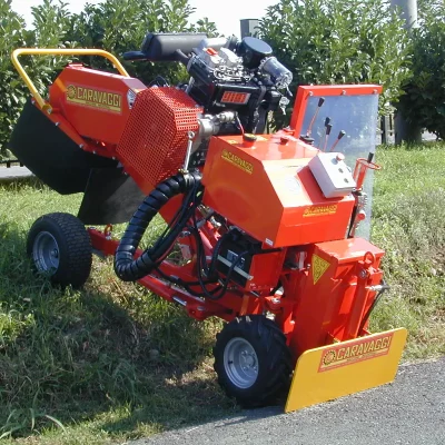 caravaggi_fresaceppisemoventi_FRCPHD_1