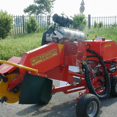 caravaggi_fresaceppisemoventi_FRCPHD_4