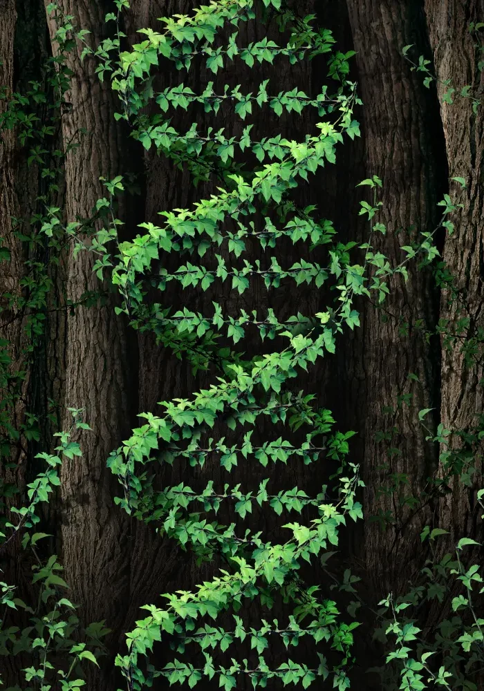 dna-natura-caravaggi dna-natura-caravaggi